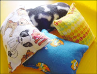 Catnip Pillows (3 x 5)