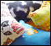 Catnip Pillows Small